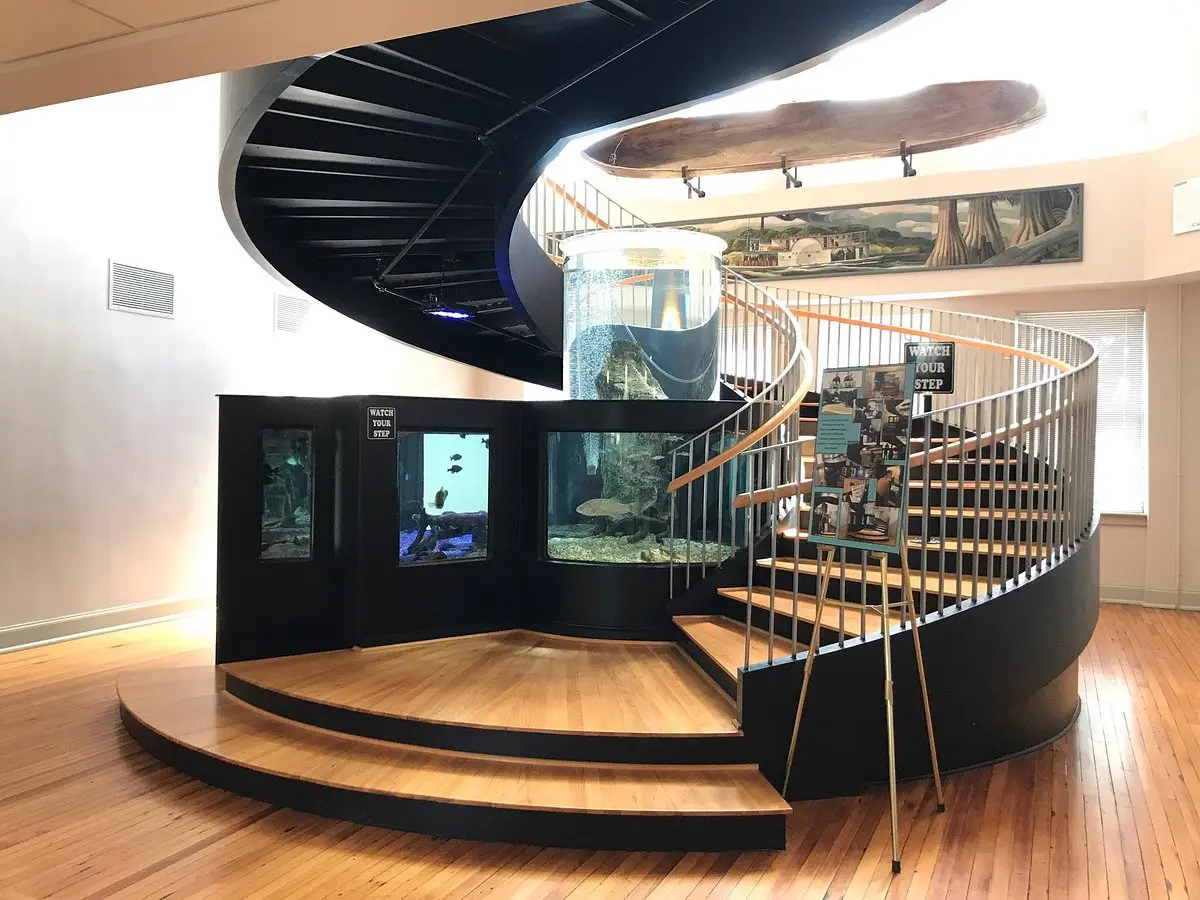 Horry County Museum (2025) - All You Need to Know BEFORE You Go (with  Reviews)