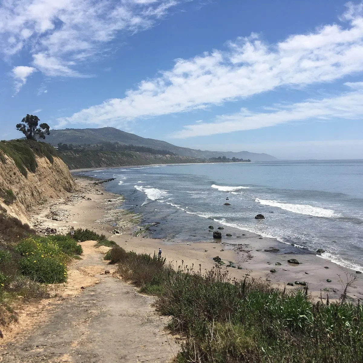 Carpinteria Harbor Seal Preserve and Rookery (2025) - All You Need to Know BEFORE You Go (with Reviews)