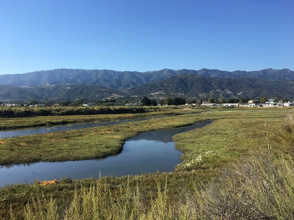 Carpinteria Salt Marsh Nature Park (2025) - All You Need to Know BEFORE You Go (with Reviews)