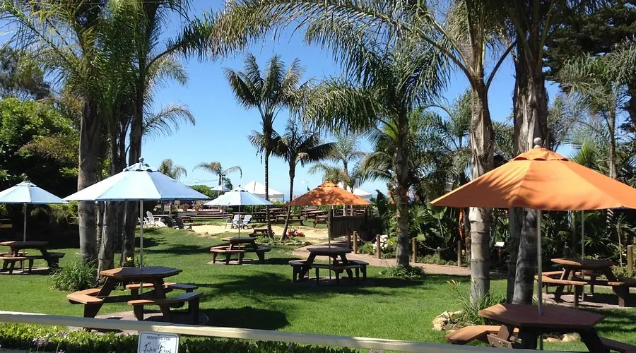 PADARO BEACH GRILL, Carpinteria - Menu, Prices & Restaurant Reviews - Tripadvisor