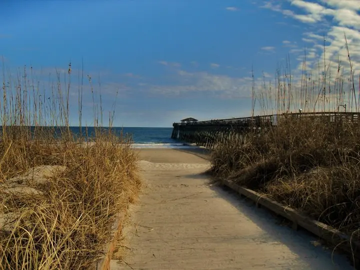 Myrtle Beach State Park - Wikipedia
