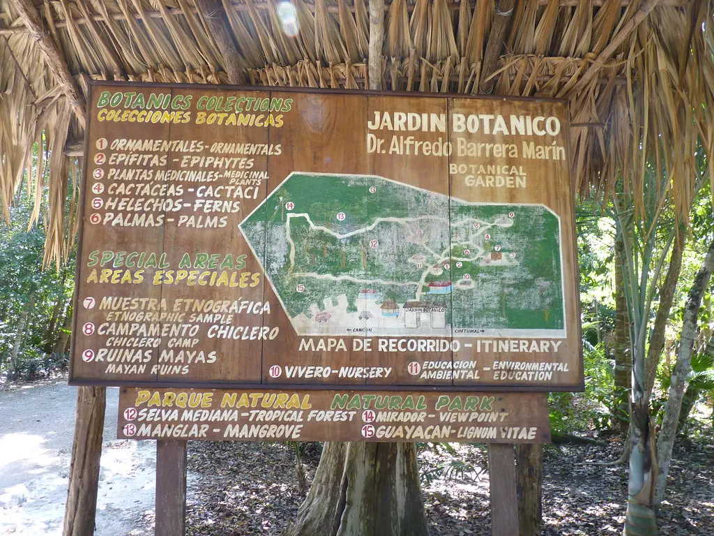 Dr. Alfredo Barrera Marin Botanical Garden, Chetumal Mexic… | Flickr