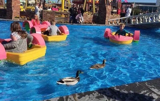 Adventure Coast Southport (2025) - All You Need to Know BEFORE You Go (with Reviews)