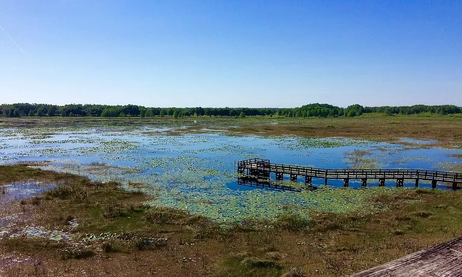 Crews Lake Wilderness Park (2025) - All You Need to Know BEFORE You Go (with Reviews)