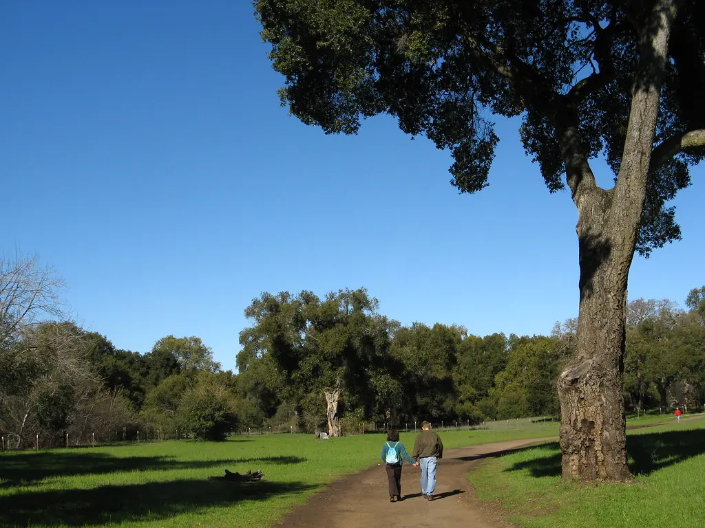 Nice day for a walk | Heading back toward the parking lot at… | Flickr