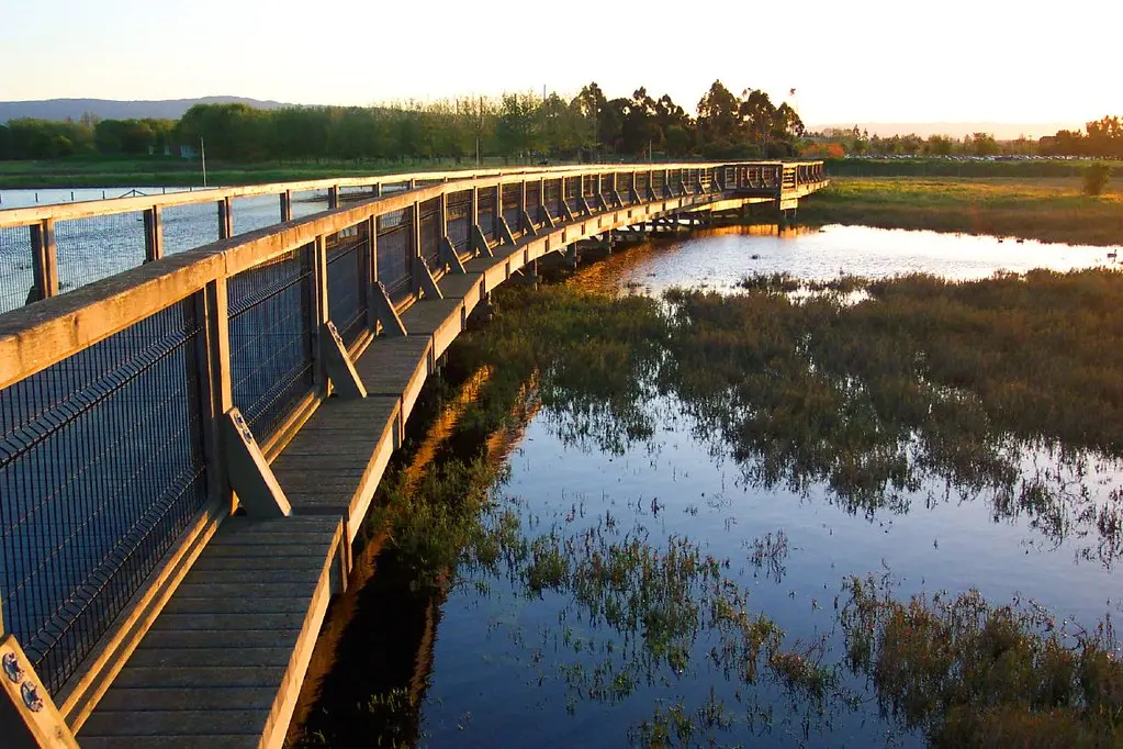 Sunnyvale Baylands Park | On a recent trip down to the Bay A… | Flickr