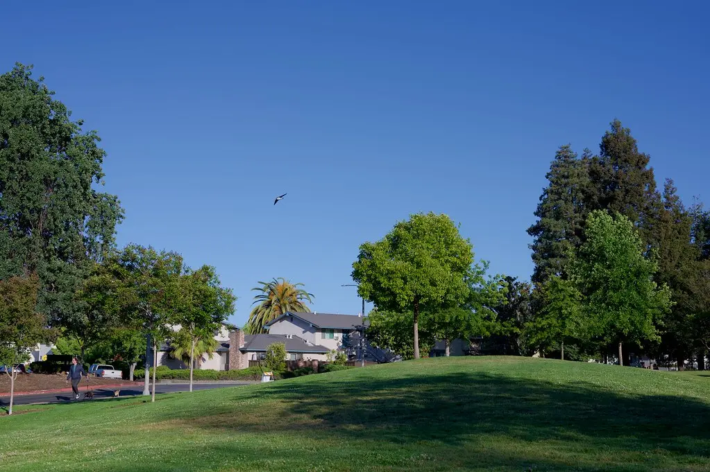 Walk at Serra Park 4523 | Miguel Hernandez | Flickr