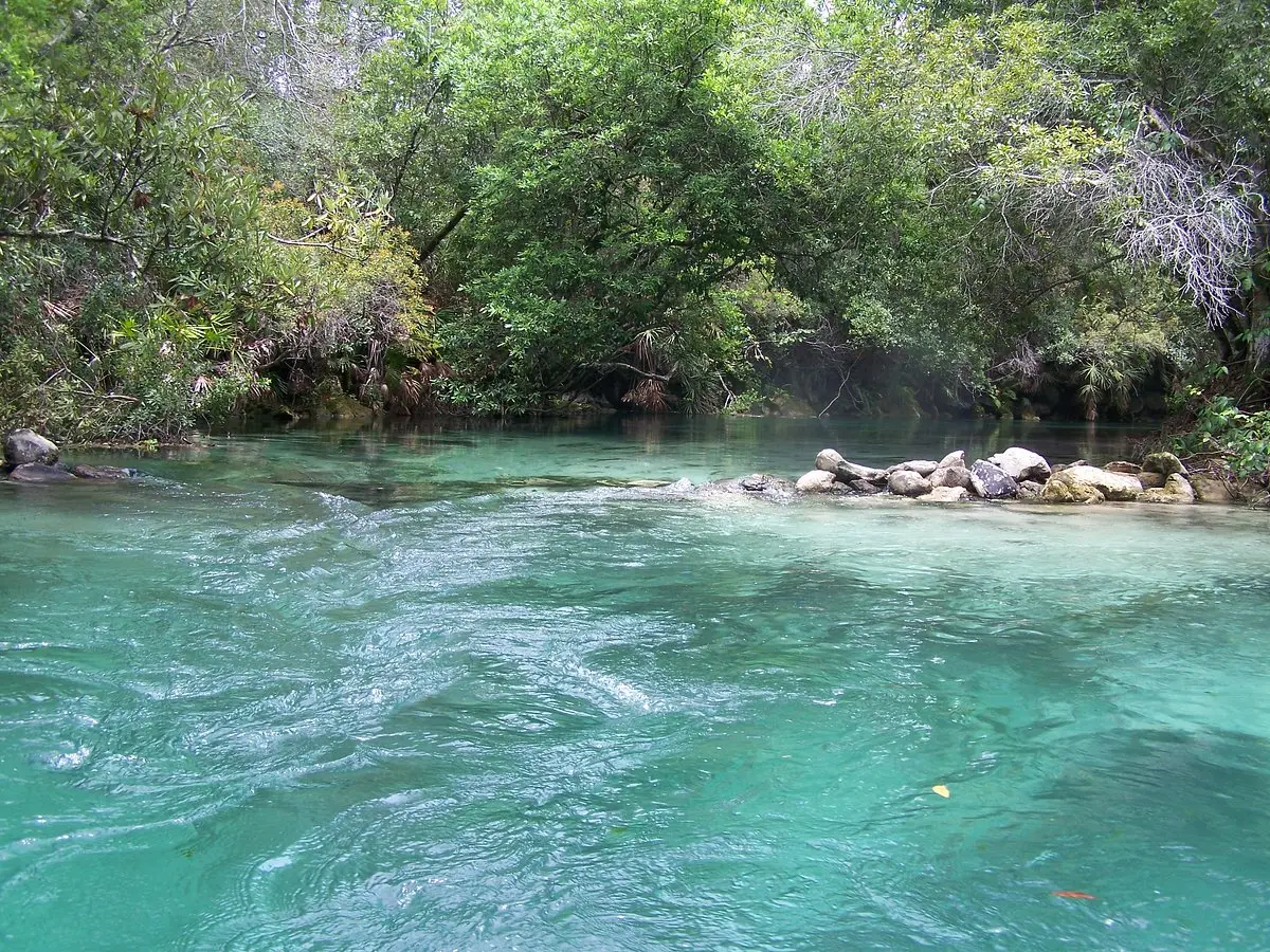 Weeki Wachee Springs (2025) - All You Need to Know BEFORE You Go (with Reviews)