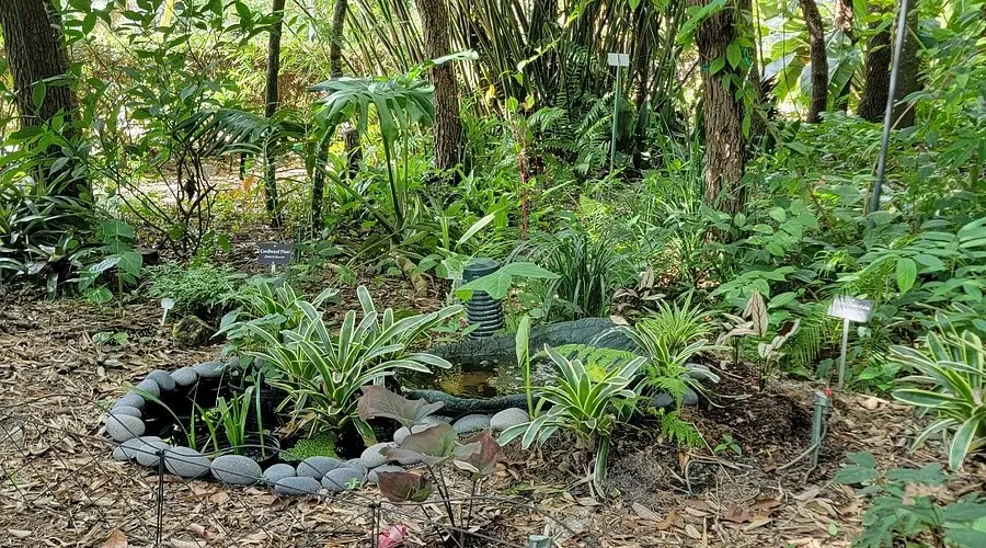 NATURE COAST BOTANICAL GARDENS & NURSERY (2025) All You Need to Know BEFORE You Go (with Photos) - Tripadvisor