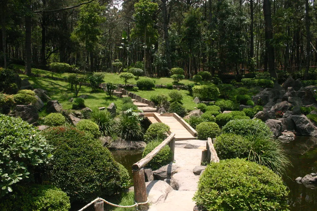 Jardín Japonés, PARQUE COLOMOS, GUADALAJARA, JALISCO, MEXI… | Flickr