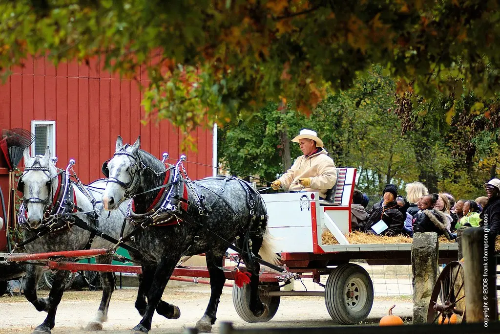 Hay Ride - Deanna Rose Children's Farmstead, Overland Park… | Flickr