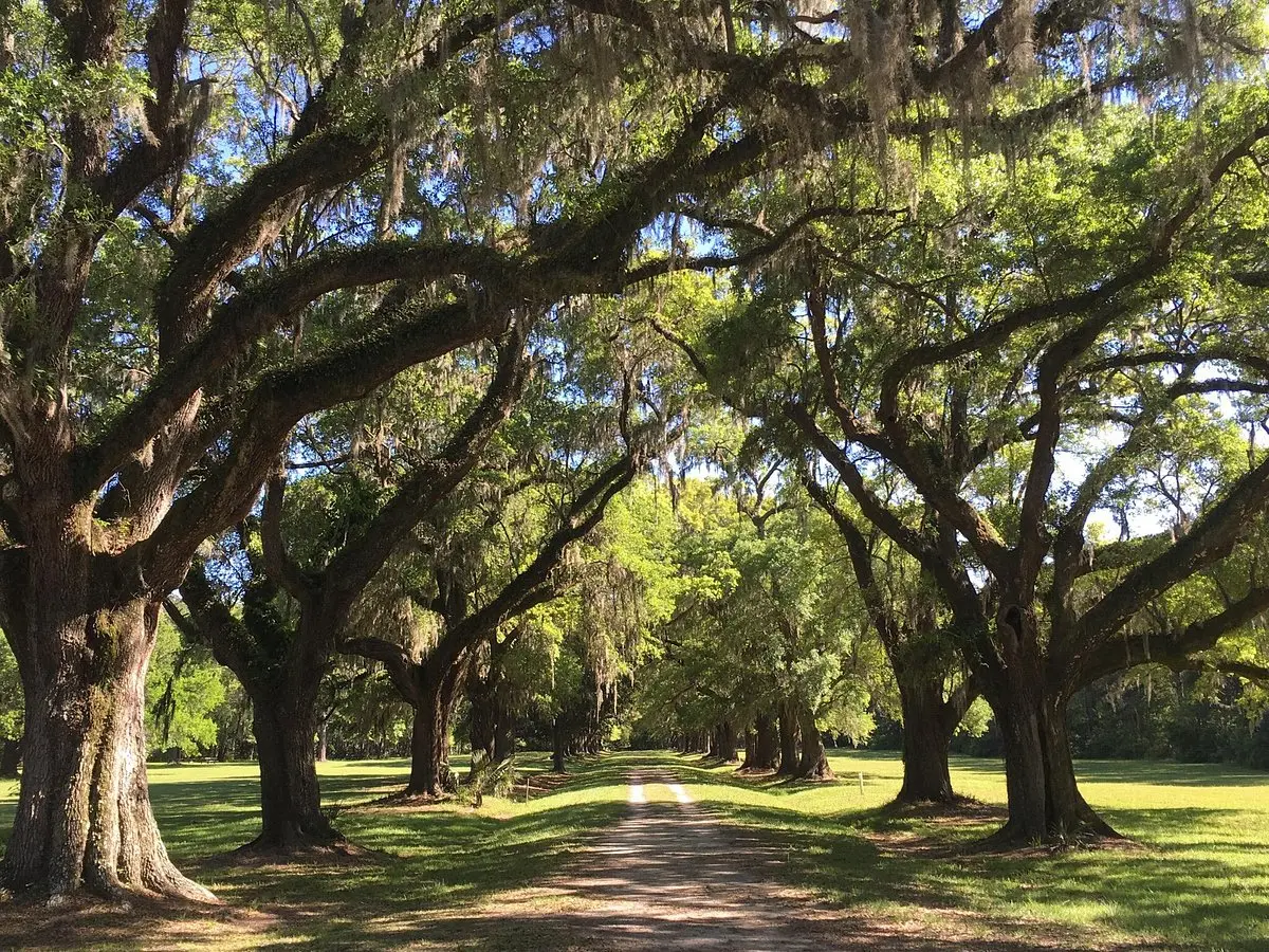 Laurel Hill County Park (2026) - All You MUST Know Before You Go (with  Reviews & Photos)