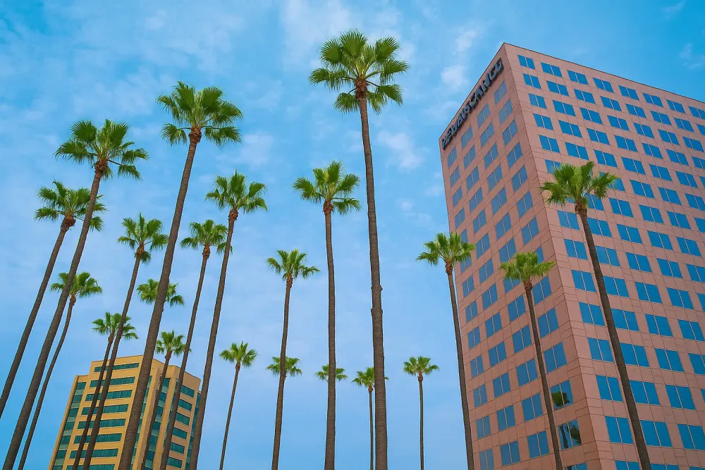 A Local’s Guide to 30 Best Things to Do in San Jose, California - Karta.com