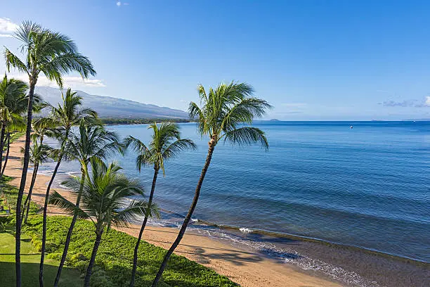 20 Local-Approved Things to Do in Kihei (Skip the Tourist Traps) - Karta