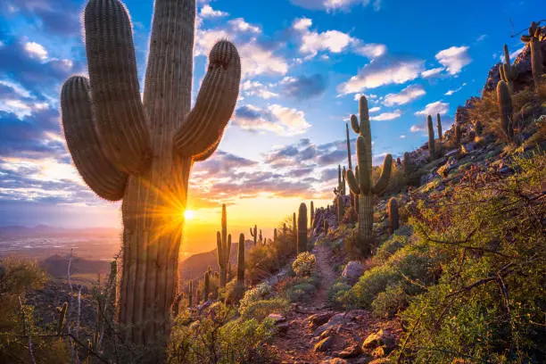 21 Best Things To Do In Sonora, CA (2026 Bucket List) - Karta.com