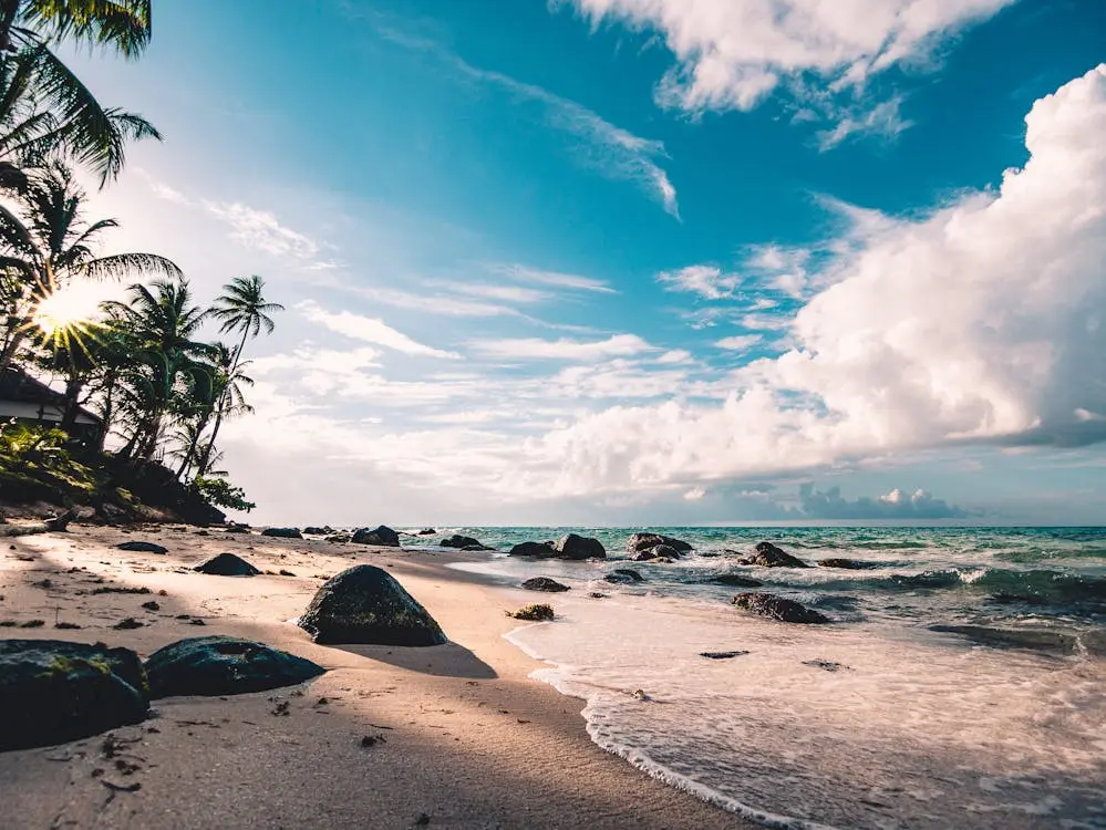 Where to Stay in Coastal Paradises: From Cape Cod to the Costa del Sol - Karta