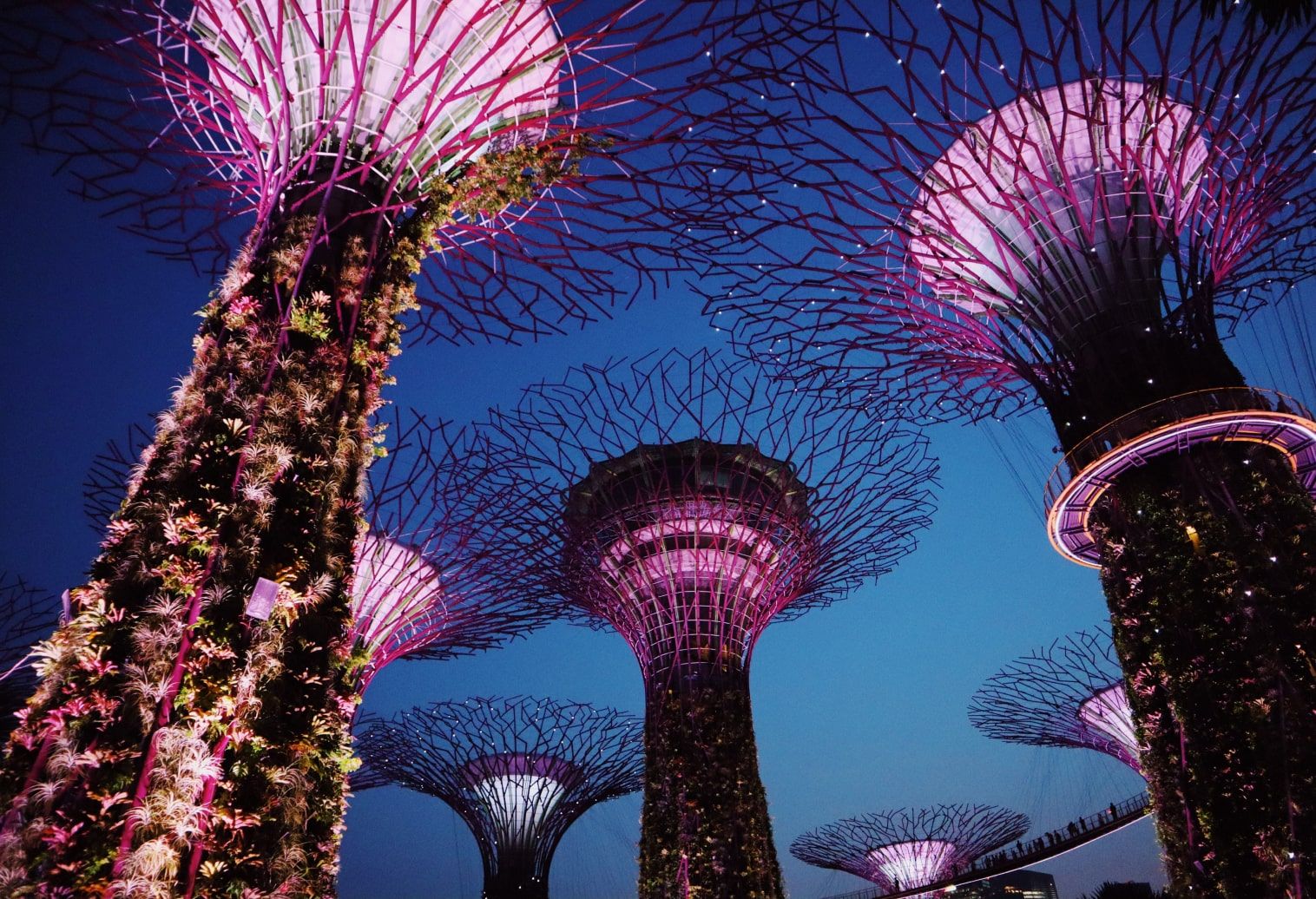 Islands Located Near Singapore