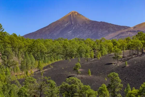 Was man auf Teneriffa machen kann: Ein authentischer Guide von Einheimischen