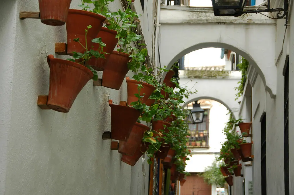 百花巷, Calleja de las Flores | 舊城區的猶太人街裡, 百花巷如其名, 牆上壁上都是一盆又一盆的… | Flickr
