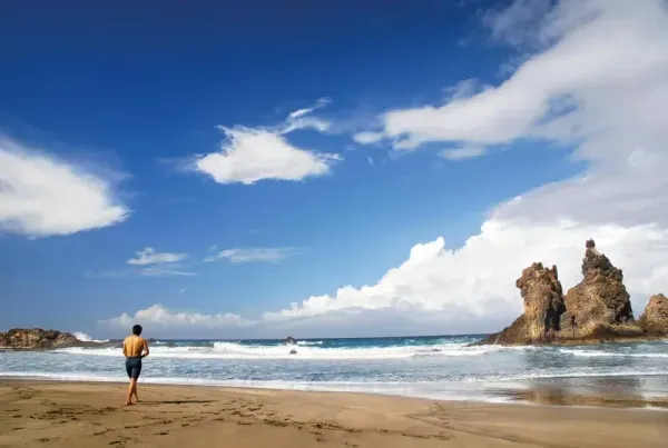 Que faire à Tenerife : Le guide authentique d’un local