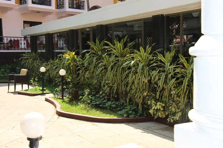 gallery image 20