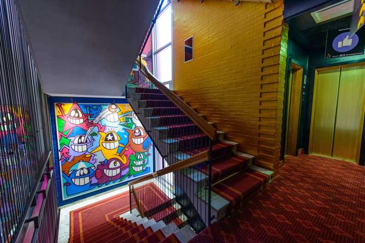 gallery image 75