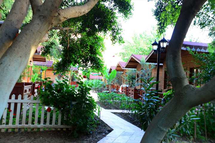 gallery image 13