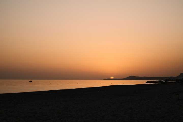 gallery image 0