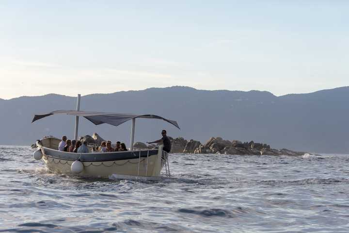 gallery image 27
