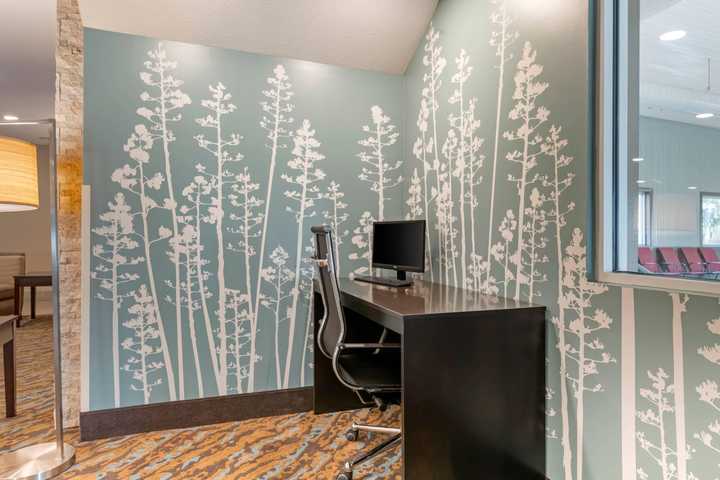 gallery image 0