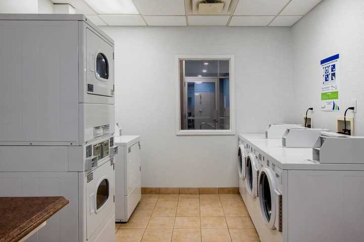 gallery image 8