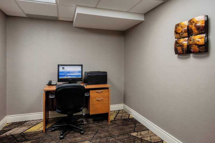gallery image 14