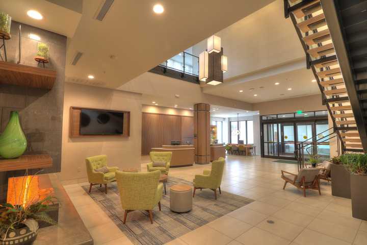gallery image 16