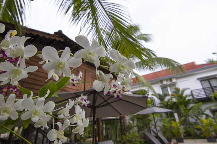 gallery image 12