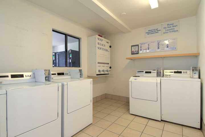 gallery image 29
