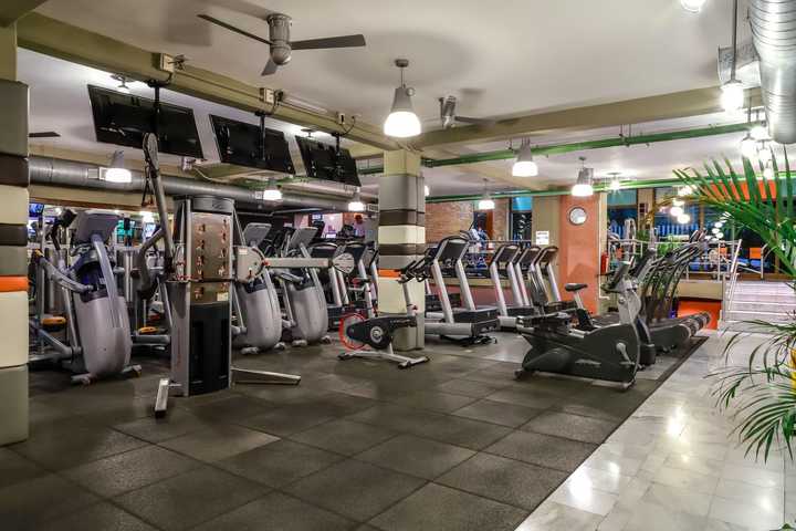 gallery image 7