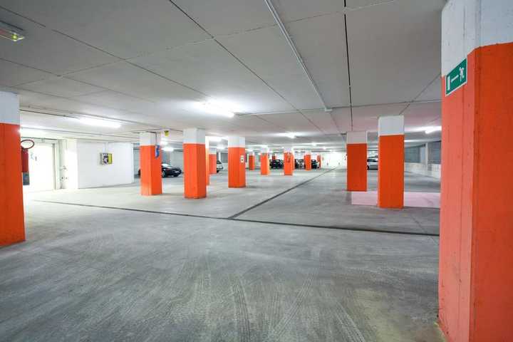 gallery image 19