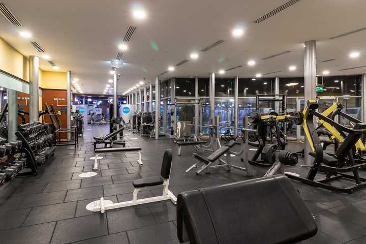 gallery image 0