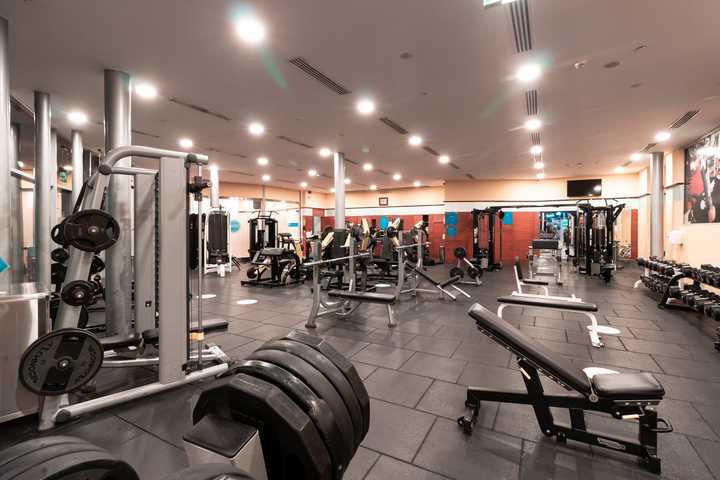 gallery image 7