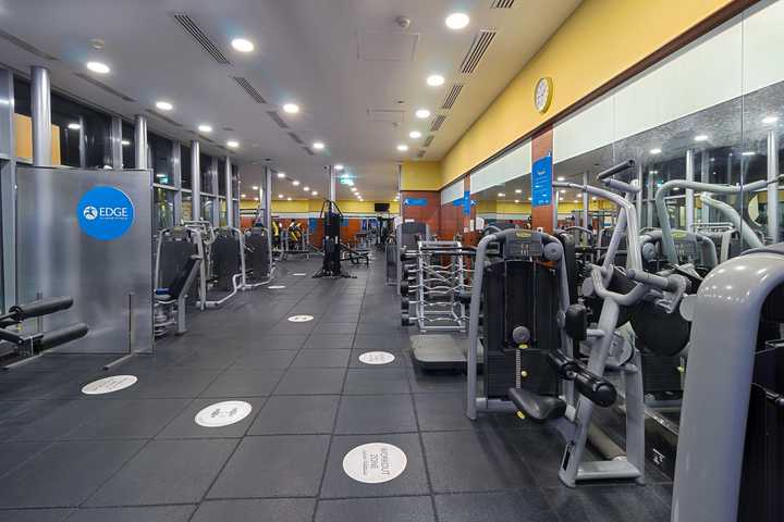 gallery image 8