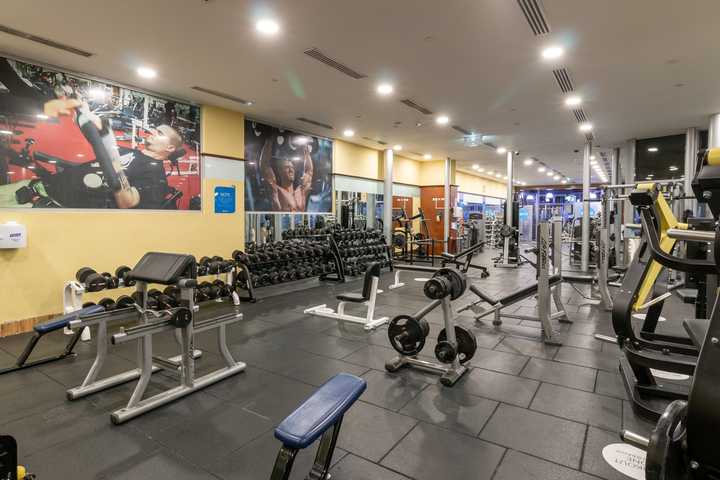 gallery image 15