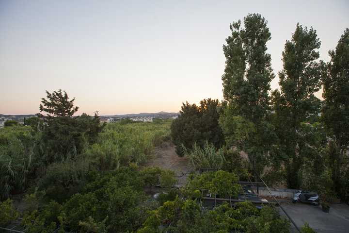 gallery image 30