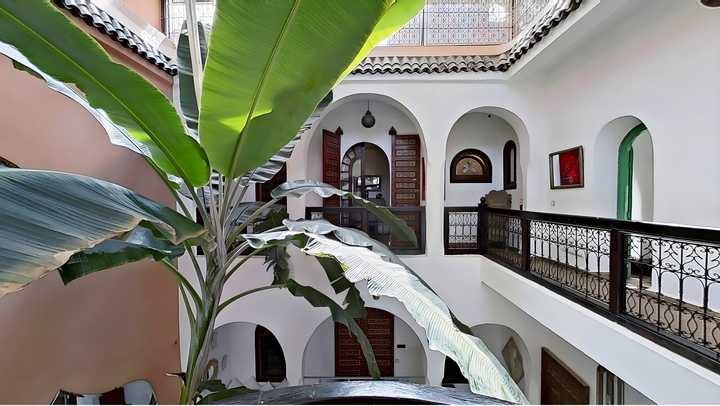 gallery image 12