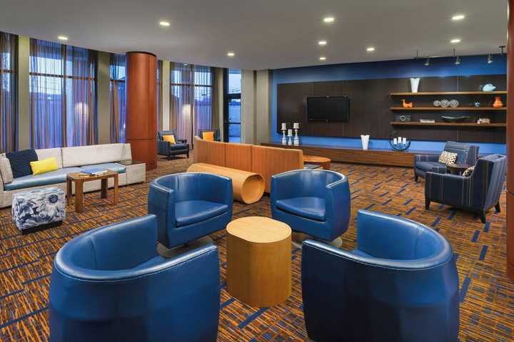 gallery image 19
