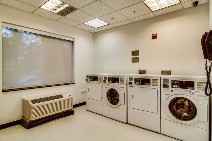 gallery image 25