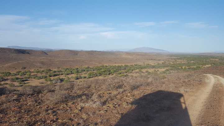 gallery image 13