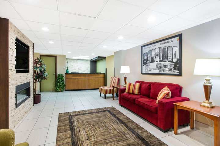 gallery image 0