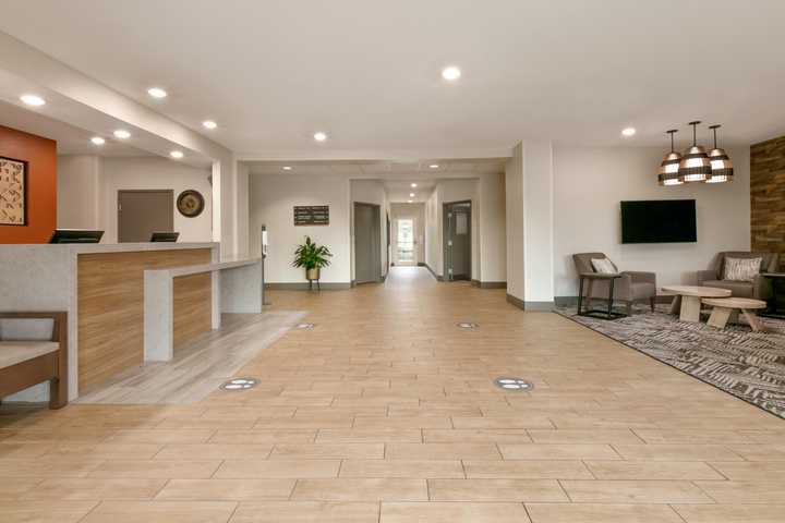 gallery image 6