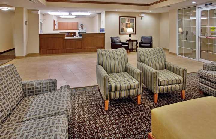 gallery image 12
