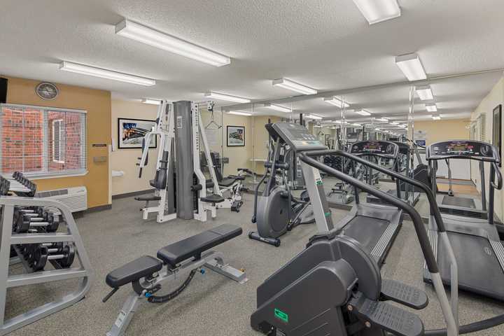 gallery image 0